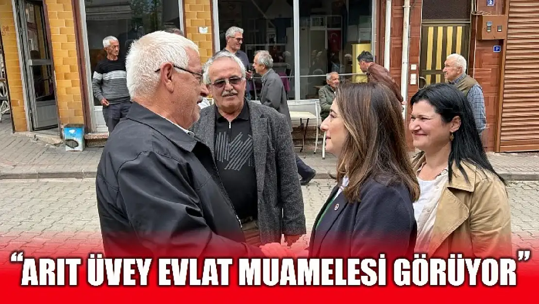 Bankoğlu'dan Arıt değerlendirmesi