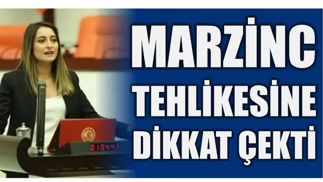 BANKOĞLU MARZİNC TEHLİKESİNE DİKKAT ÇEKTİ!