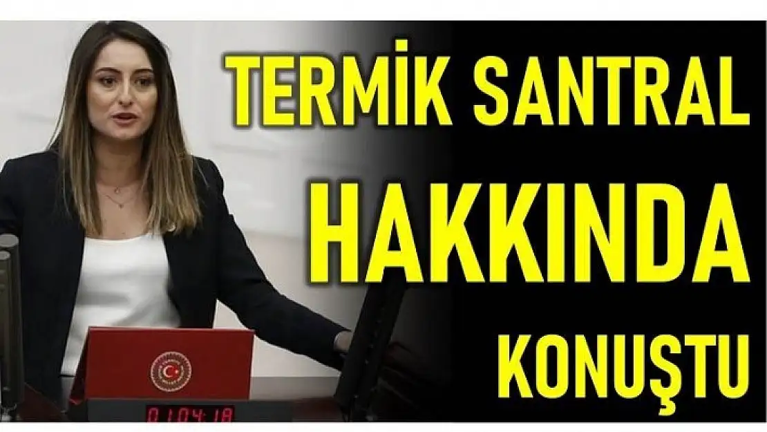 BANKOĞLU TERMİK SANTRAL HAKKINDA KONUŞTU