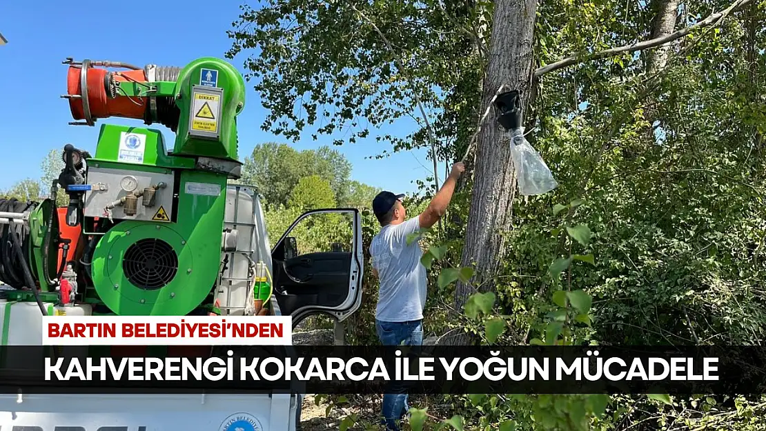Kahverengi Kokarca ile Yoğun Mücadele