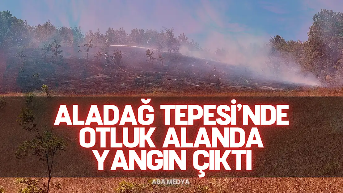 Bartın'da Aladağ Tepesi'nde Otluk Alanda Yangın Çıktı