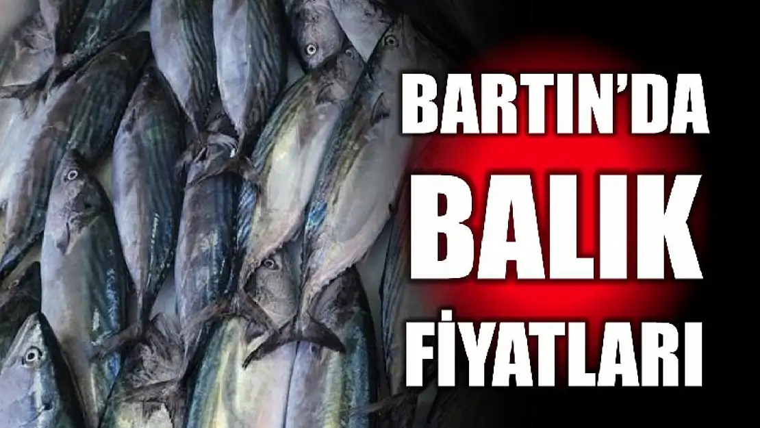 Bartın'da balık fiyatları