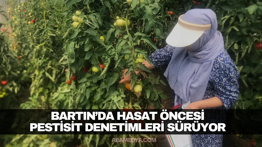Bartın'da Hasat Öncesi Pestisit Denetimleri Sürüyor