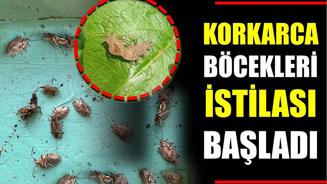 Bartın'da kabus yeniden başladı