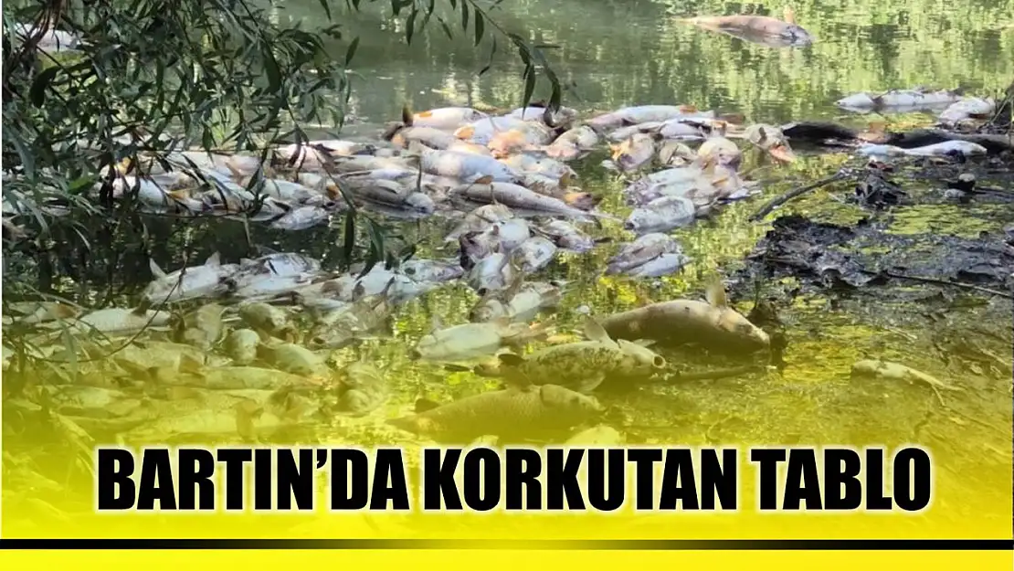Bartın'da korkutan manzara