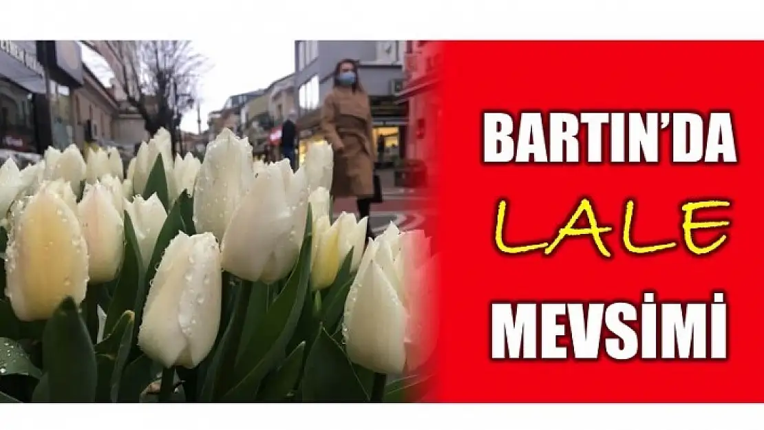 BARTIN'DA LALE MEVSİMİ