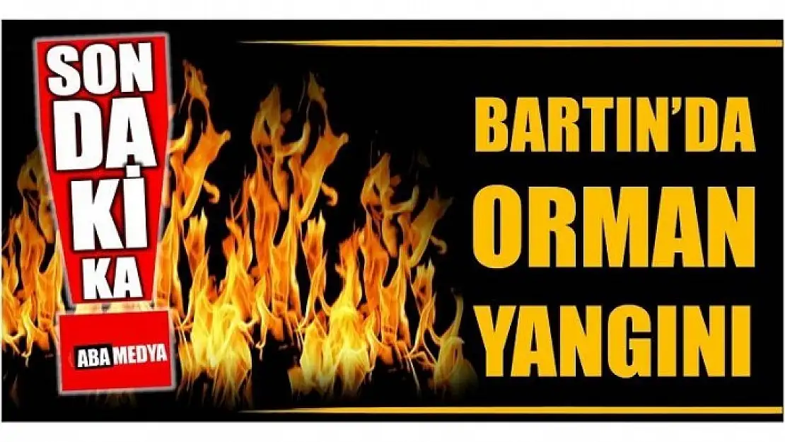 BARTIN'DA ORMAN YANGINI