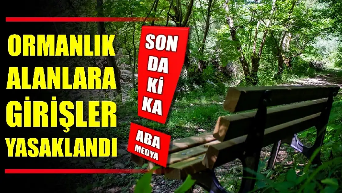 Bartın'da ormanlık alanlara girişler yasaklandı