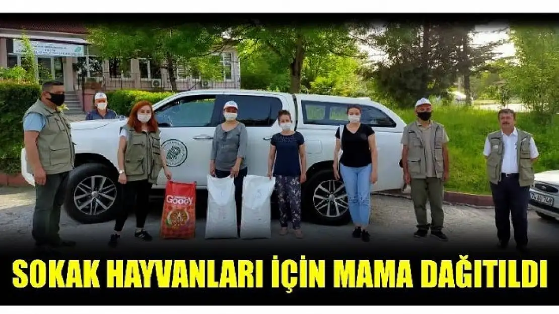 BARTIN'DA SOKAK HAYVANLARI UNUTULMADI