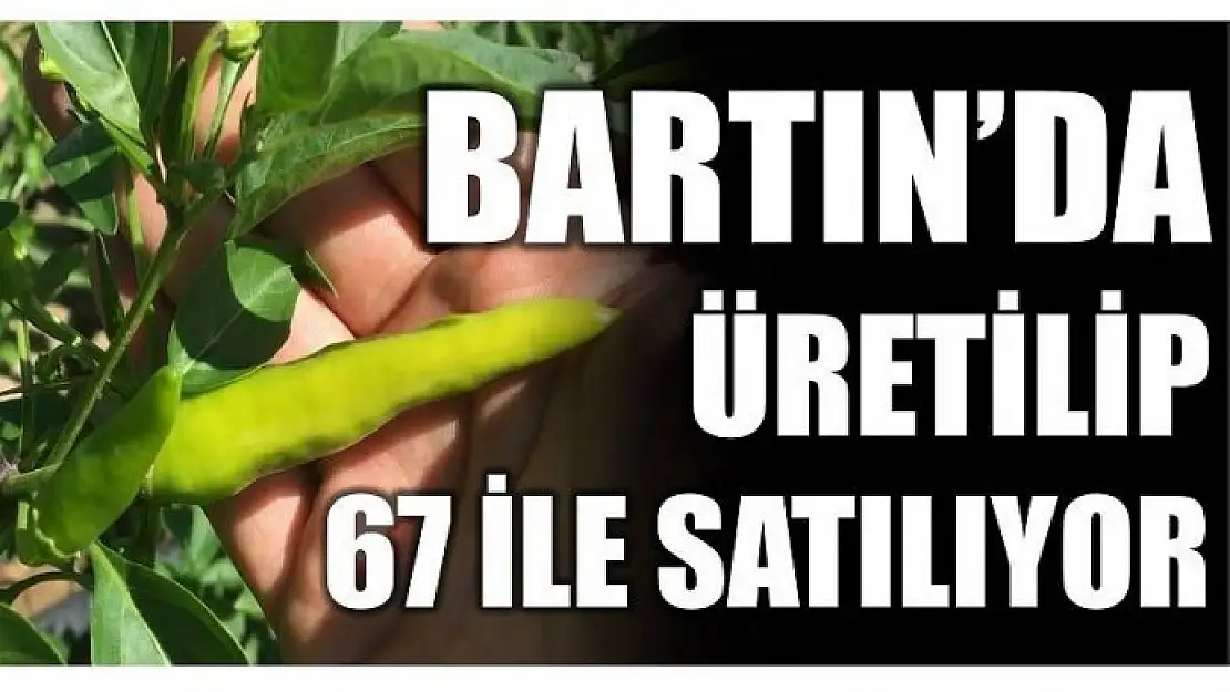 BARTIN'DA ÜRETİLİYOR 67 İLE GÖNDERİLİYOR