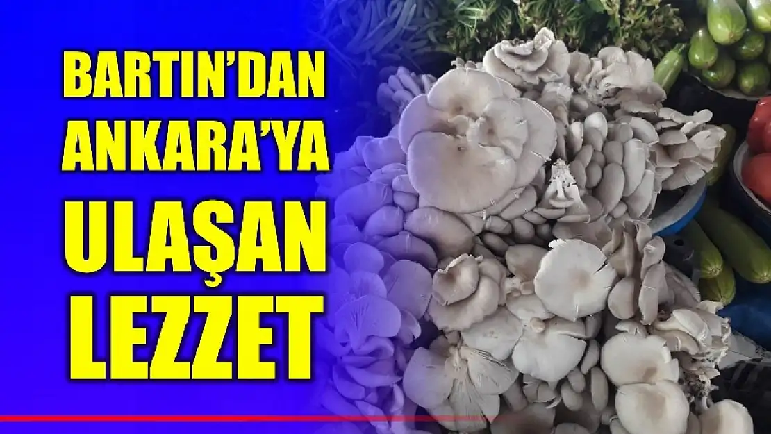 Bartın'dan Ankara'ya ulaşan lezzet