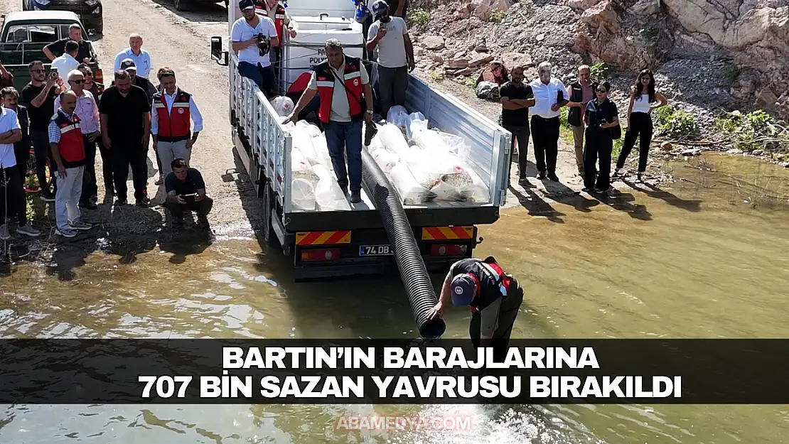 Bartın'ın Barajlarına 707 Bin Sazan Yavrusu Bırakıldı.