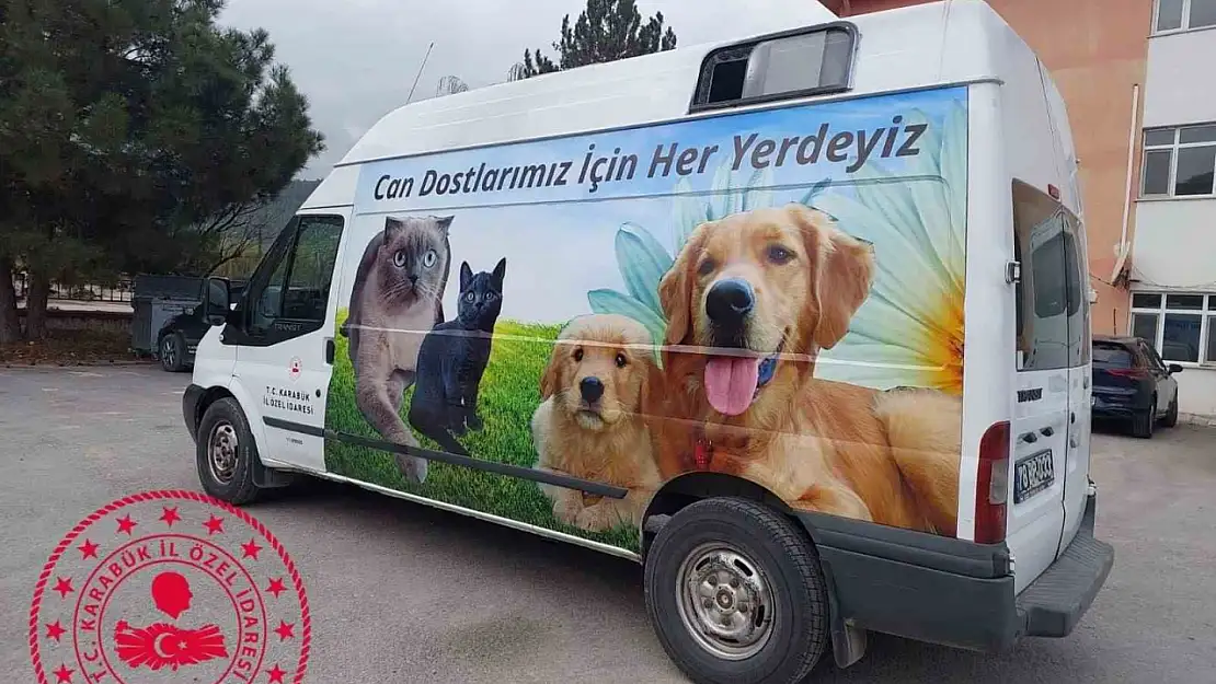 74 bin 915 liralık köpek ve kedi maması alındı