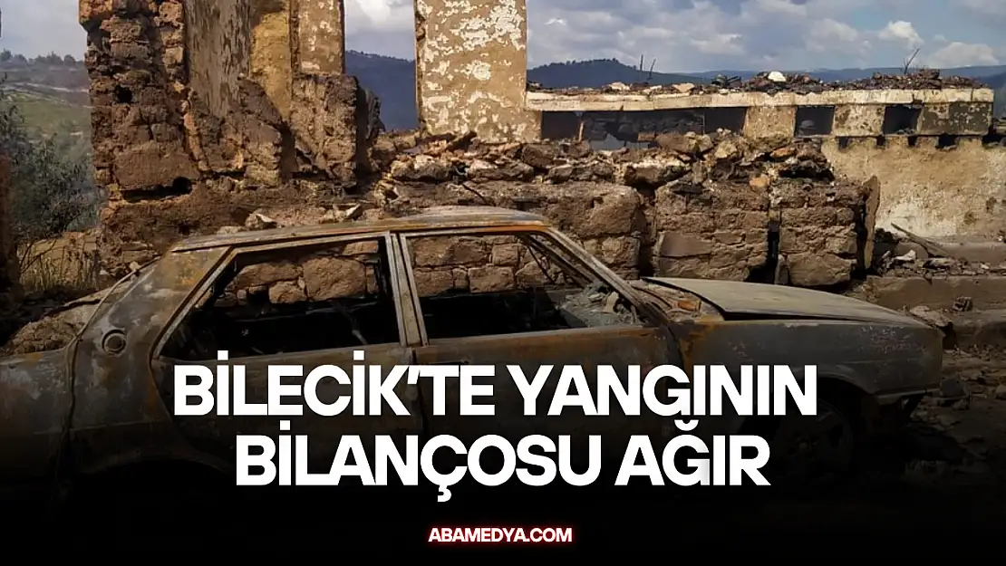 Bilecik'te Yangının Bilançosu Ağır