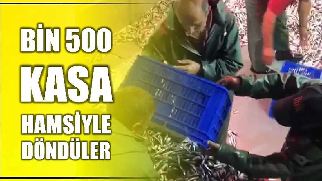 Bin 500 kasa hamsi ile limana geldiler