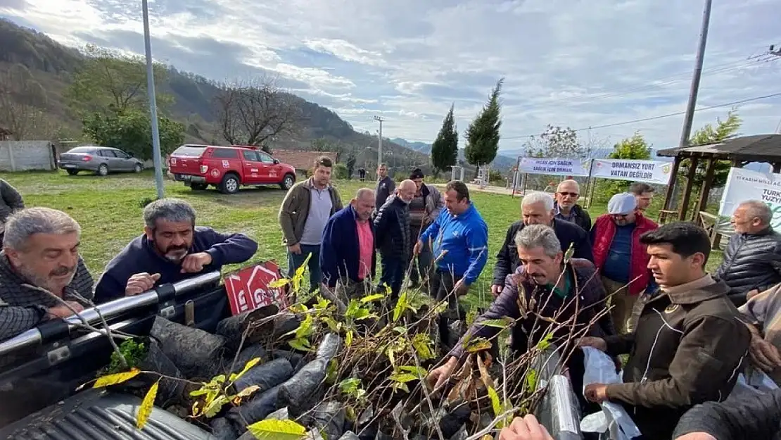 Bin adet kestane fidanı dağıtıldı