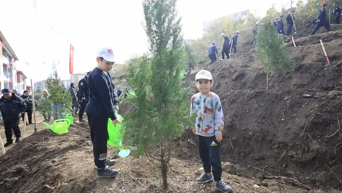 Binlerce fidan toprakla buluştu