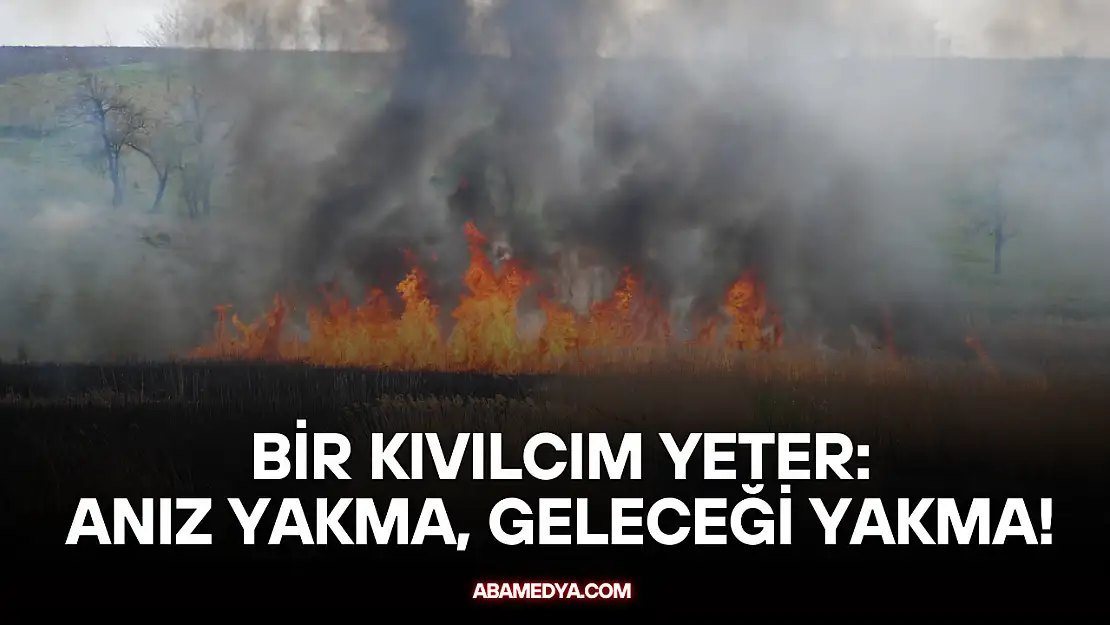 Bir Kıvılcım Yeter: Anız Yakma, Geleceği Yakma!