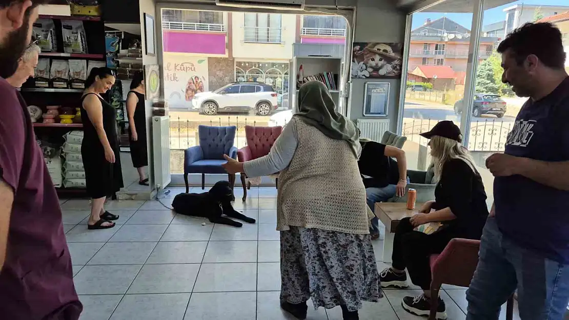 Bir yıl sonra