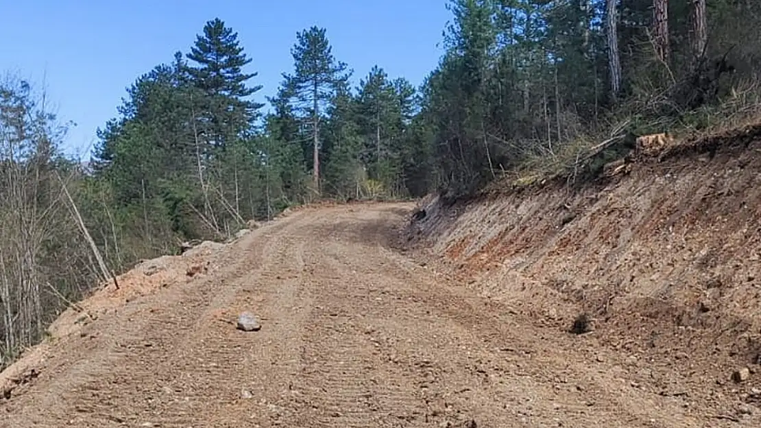 Bolu'da 12 kilometrelik orman yolu açıldı: Yangınlara daha hızlı müdahale edilecek