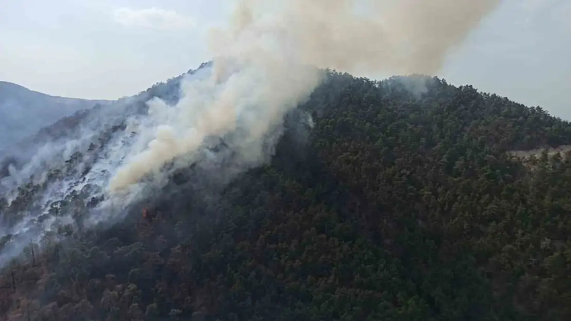 Bolu'da aynı ilçede 2 farklı orman yangını