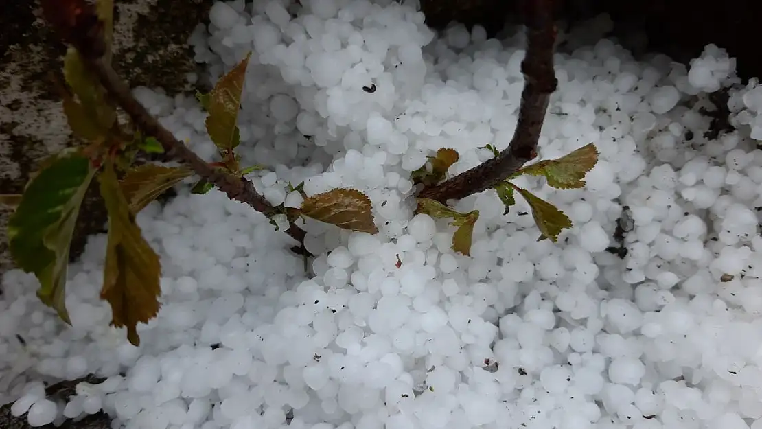  Bolu'da dolu etkili oldu