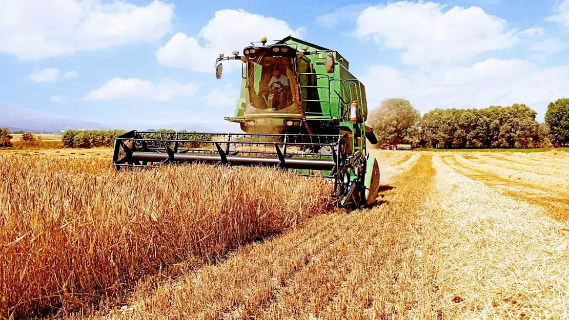 Bolu'da hasat dönemi arpa ile başladı