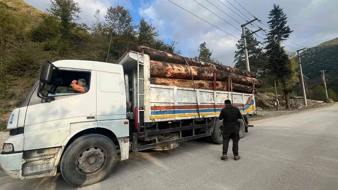 Bolu'da kaçak odun dolu kamyonlar yakalandı