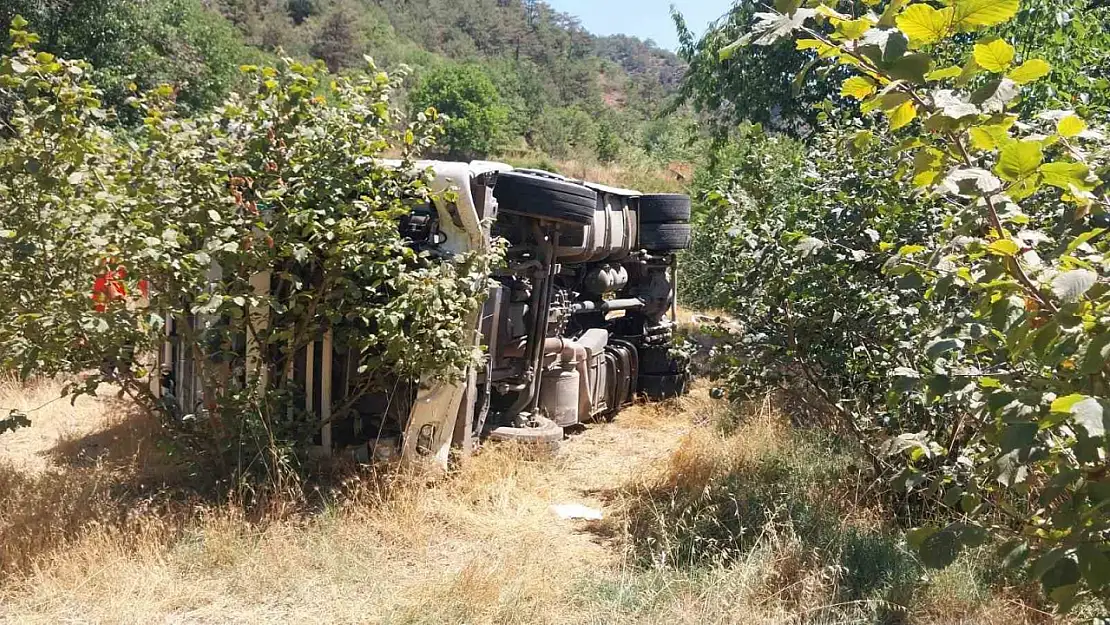 Bolu'da kontrolden çıkan tır fındık bahçesine devrildi
