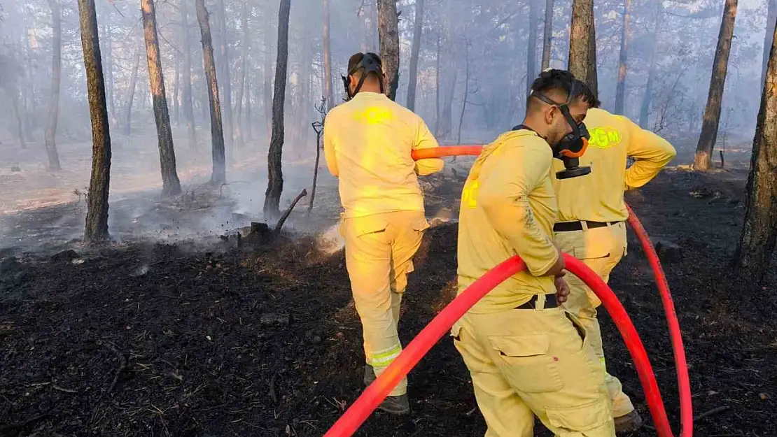 Bolu'da küle dönen 20 hektar ormanda, soğutma çalışması sürüyor