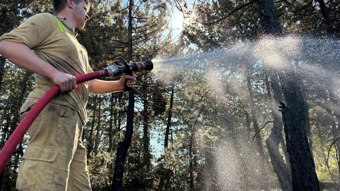Bolu'da orman yangını büyük ölçüde kontrol altına alındı