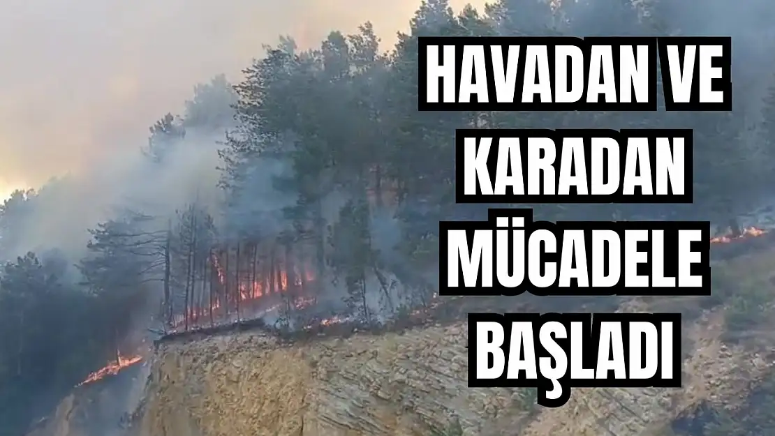 Bolu'da orman yangını