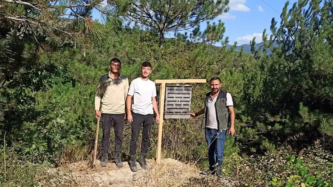 Bolu'da yanan ormanlık alanlara feromon tuzakları asıldı
