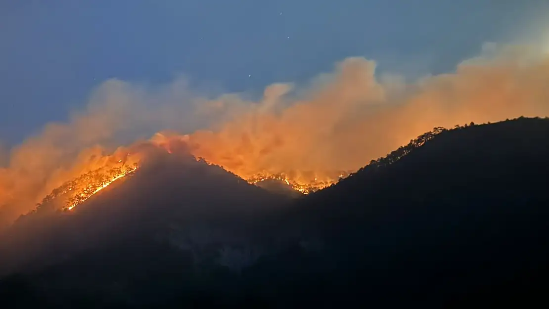 Bolu'daki orman yangını 2'nci gecesinde