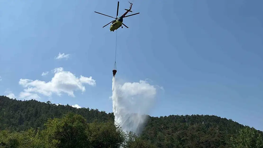 Bolu'daki orman yangını kısa sürede kontrol altına alındı
