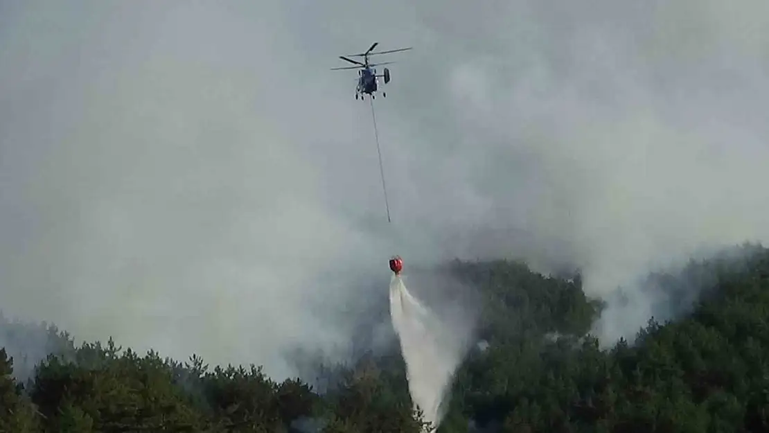 Bolu'daki orman yangını kısmen kontrol altında: 2 gözaltı