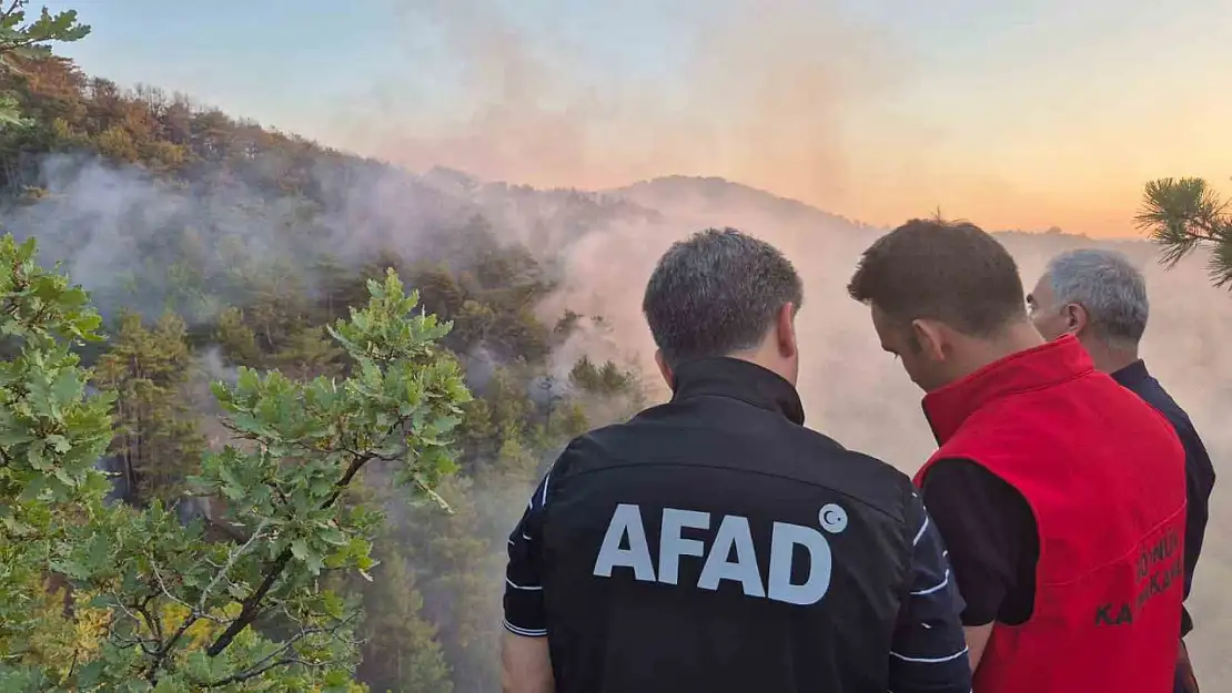 Bolu'daki orman yangını kontrol altına alındı