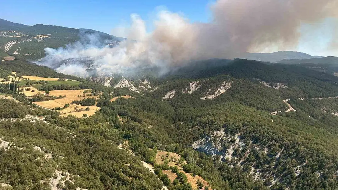 Bolu'daki orman yangınına müdahale sürüyor