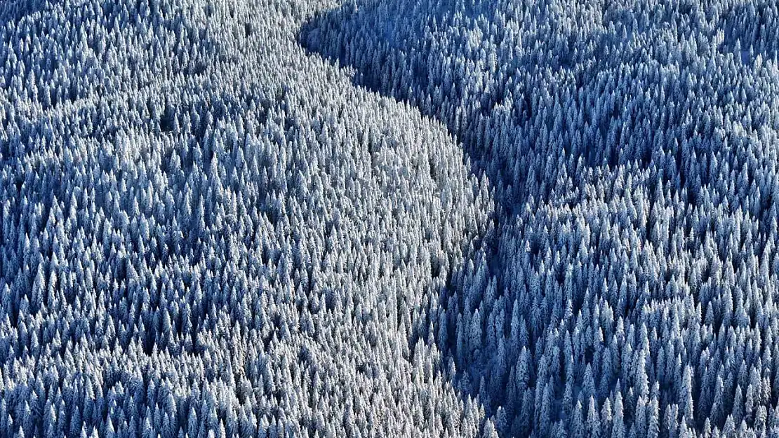 Bolu'nun dağlarında eşsiz manzara