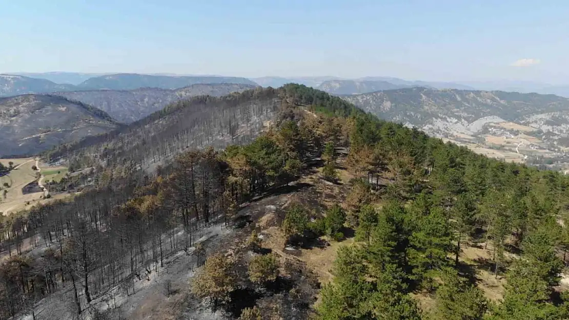 Bolu tarihinin en büyük yangınının yaraları sarılıyor