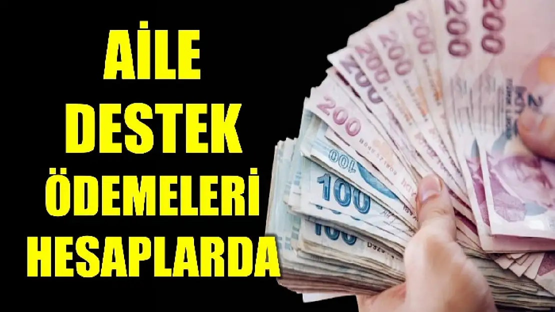 Bu ay 3,6 milyar lira ödeme yapılacak