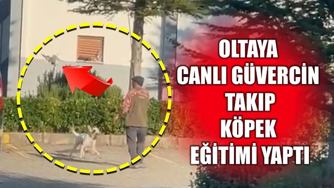 Bu görüntü cezasız kalmadı