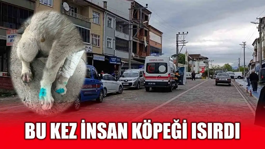 Alkollü şahıs dehşet saçtı
