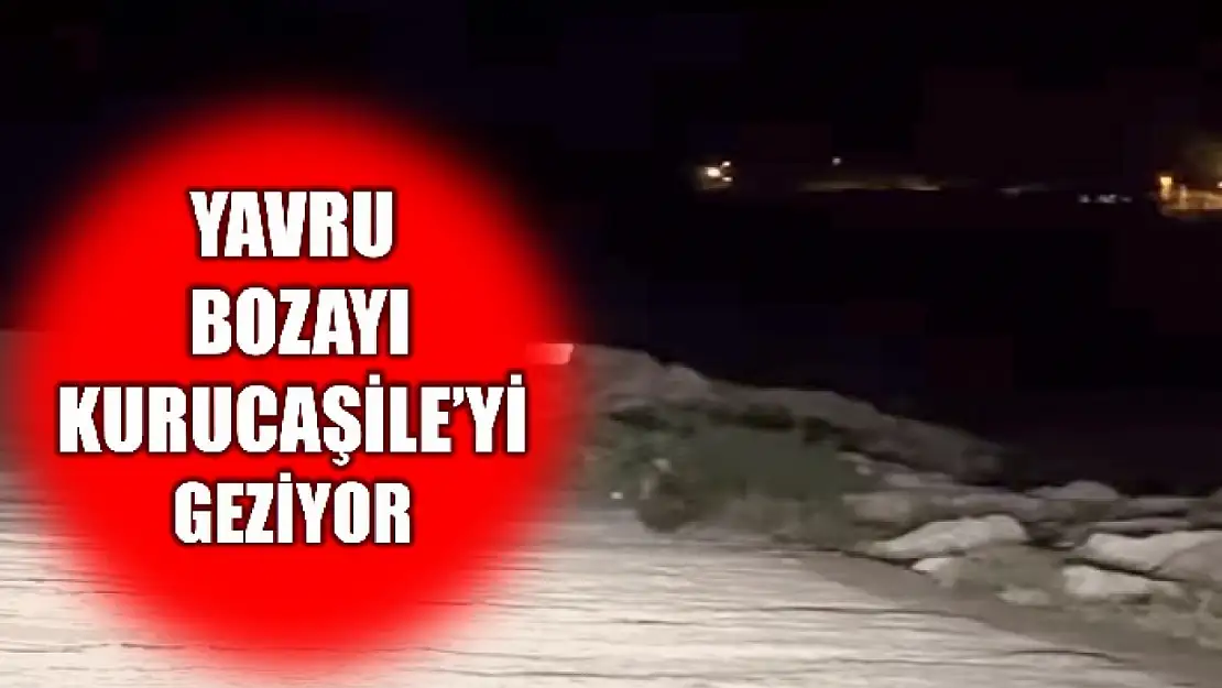 Bu kez limanda görüntülendi