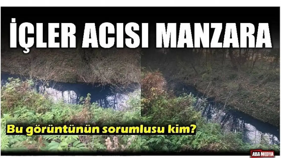 BU KİRLİLİĞİN SORUMLUSU KİM?