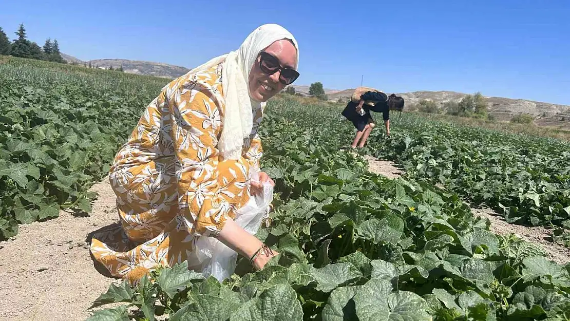 Bu tarlaya gelen istediğini seçer