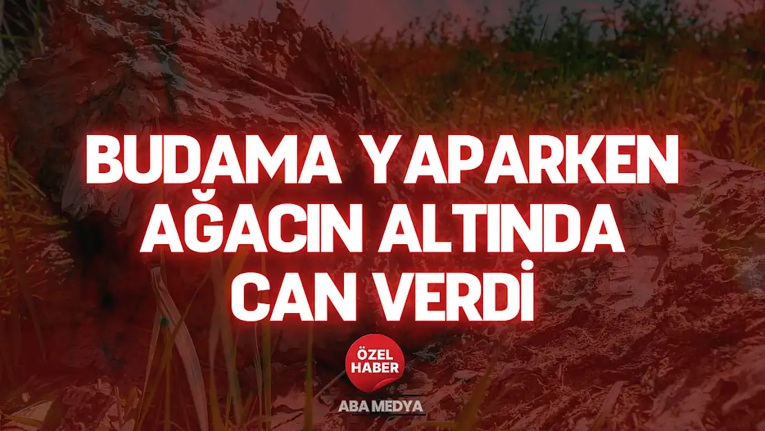 Budama Yaparken Ağacın Altında Can Verdi