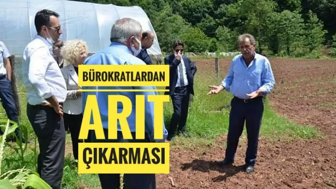 BÜROKRATLARDAN ARIT ÇIKARMASI