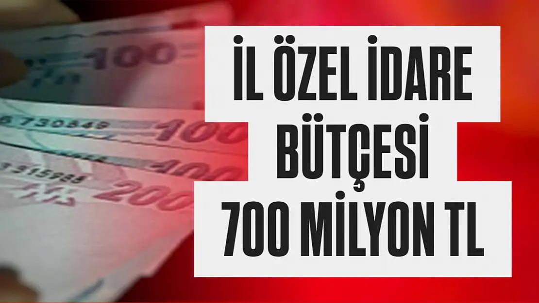 Bütçe 700 milyon TL