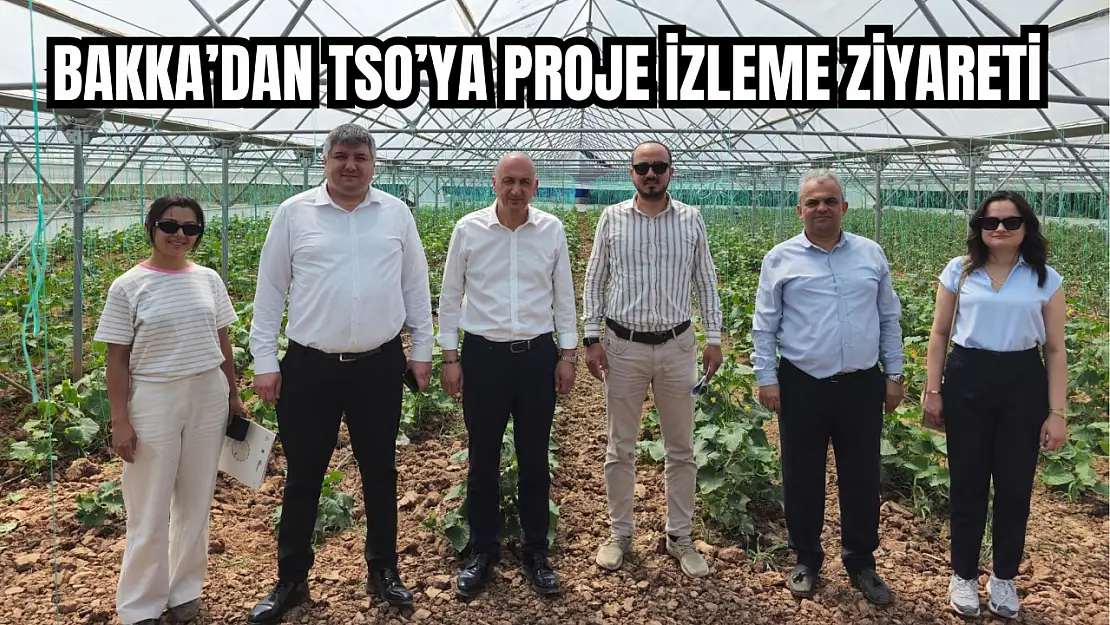 Çalışmalar değerlendirildi
